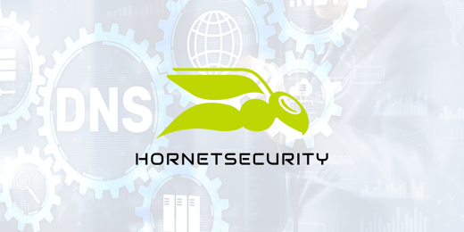 HornetSecurity DNS Einträge